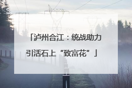 泸州合江：统战助力引活石上“致富花”